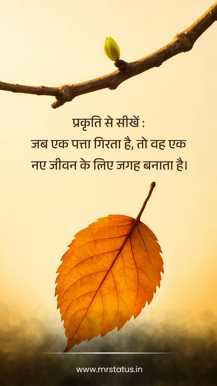 Download free status image